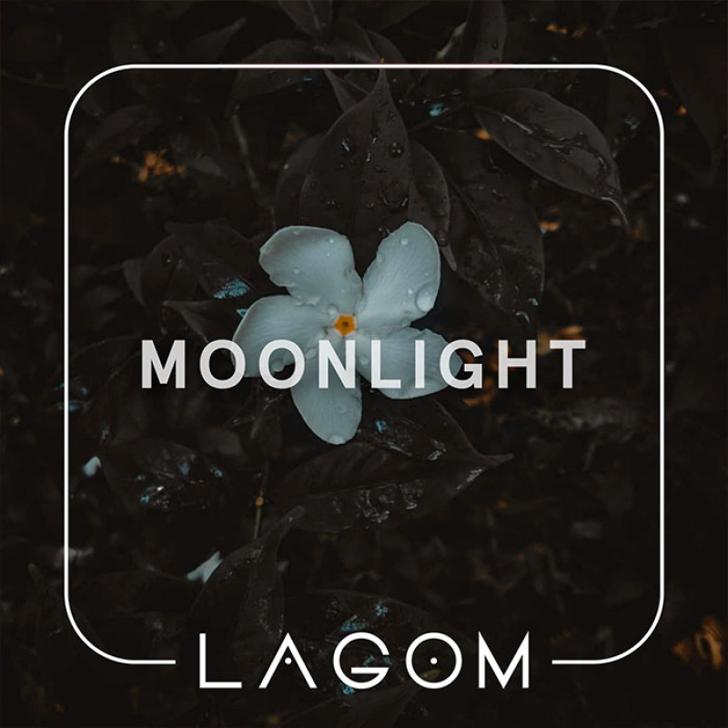 Табак Lagom Main Moonlight (Зеленый чай с жасмином) 250 г Табак Lagom Main Moonlight (Зеленый чай с жасмином) 250 г