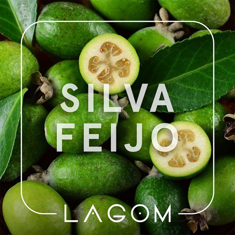 Табак Lagom Main Silva Feijo (Фейхоа) 40 г Табак Lagom Main Silva Feijo (Фейхоа) 40 г