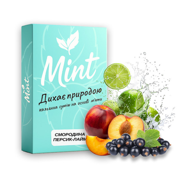 Смесь для кальяна Mint Смородина Персик Лайм 100 г